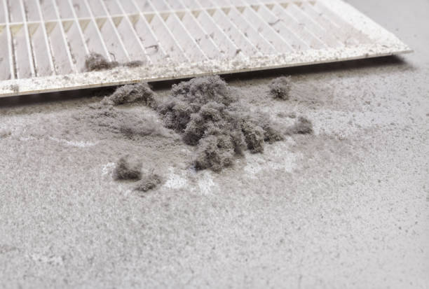 Best Affordable HVAC Duct Cleaning  in La Junta, CO
