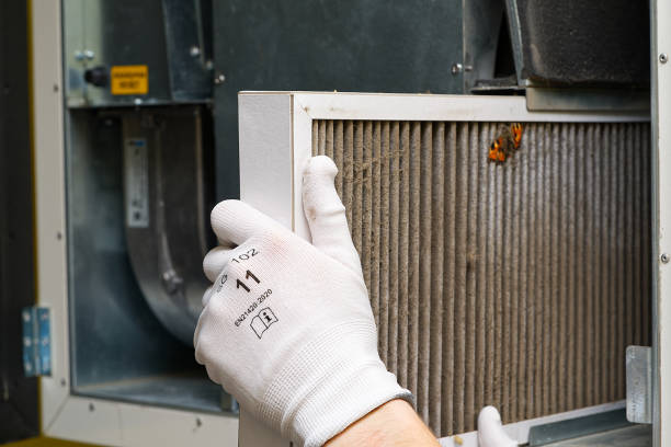 Best Air Duct Sanitizing Services  in La Junta, CO