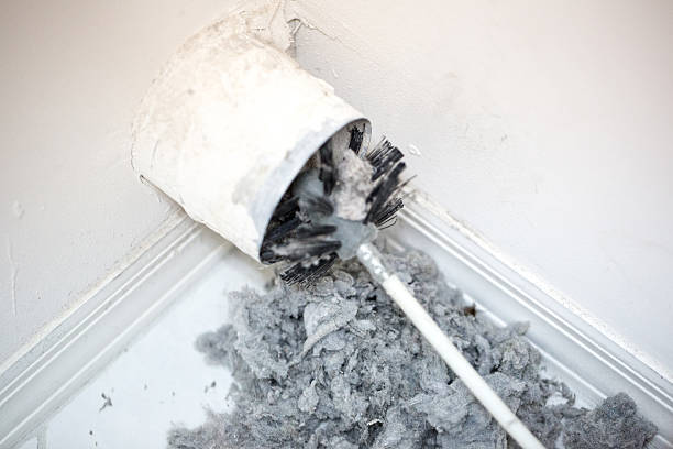 Best Professional Duct Cleaning Services  in La Junta, CO